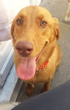 Miss Raven - ADOPTED 06.08.14