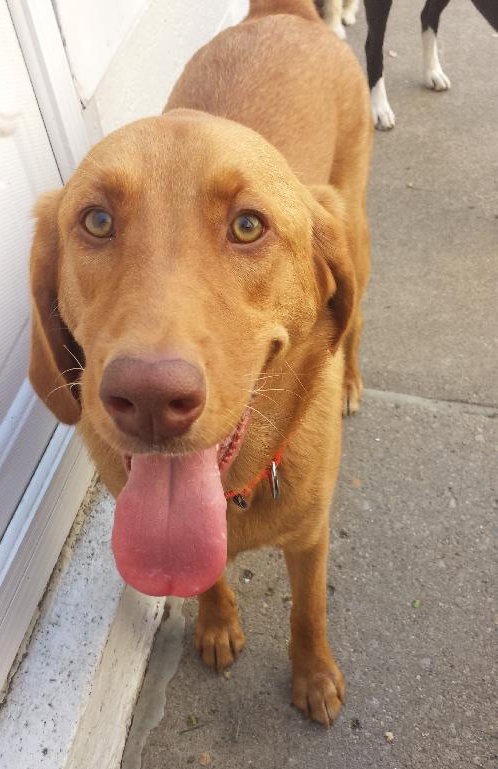 Miss Raven - ADOPTED 06.08.14