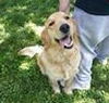 Starla - ADOPTED-1.23.15