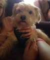 Moe - ADOPTED 06.02.14