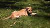 Summer Rae - ADOPTED 06.10.14