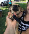 Summer Rae - ADOPTED 06.10.14
