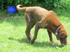 Sport - ADOPTED 07.19.14