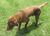 Sport - ADOPTED 07.19.14