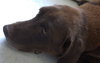Sport - ADOPTED 07.19.14