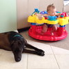 Franzi - ADOPTED 07.18.14