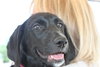Nl Litter Dharma - ADOPTED 07.06.14