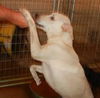 Matter - ADOPTED 08.08.14