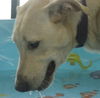 Matter - ADOPTED 08.08.14