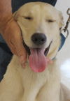 Matter - ADOPTED 08.08.14