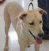 Matter - ADOPTED 08.08.14