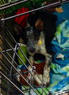 Rl Litter River - ADOPTED 07.20.14