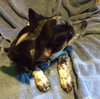 Rl Litter River - ADOPTED 07.20.14