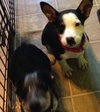 Rl Litter Brook - ADOPTED 08.15.14