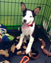 Rl Litter Brook - ADOPTED 08.15.14