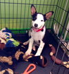 Rl Litter Brook - ADOPTED 08.15.14