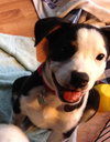 Rl Litter Brook - ADOPTED 08.15.14