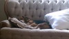 Franklin - ADOPTED 08.08.14
