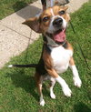 Franklin - ADOPTED 08.08.14