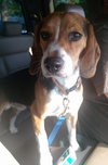 Franklin - ADOPTED 08.08.14