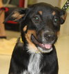 Sl Litter Breezy - ADOPTED 09.06.14