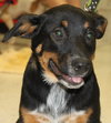 Sl Litter Breezy - ADOPTED 09.06.14