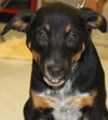 Sl Litter Breezy - ADOPTED 09.06.14