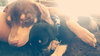 Wl Litter Blade - ADOPTED 08.24.14