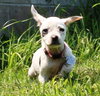 Tl Litter Donna - ADOPTED 08.03.14