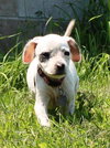 Tl Litter Donna - ADOPTED 08.03.14