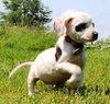 Tl Litter Donna - ADOPTED 08.03.14