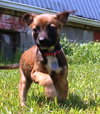 Tl Litter Dani - ADOPTED 08.02.14