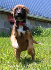 Tl Litter Dani - ADOPTED 08.02.14