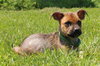 Tl Litter Donald - ADOPTED 08.22.14