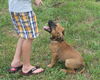 Zl Litter Twizzler - ADOPTED 08.03.14