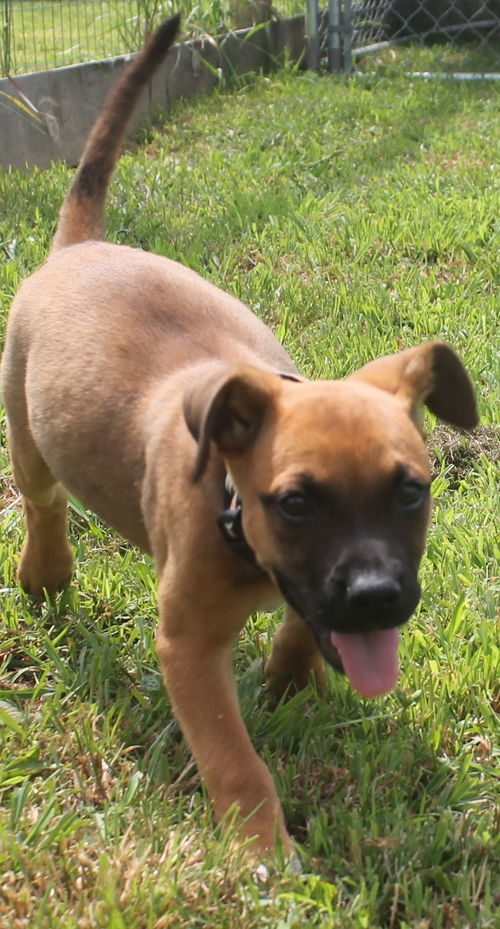Zl Litter Twizzler - ADOPTED 08.03.14