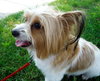 Izzi - ADOPTED 08.16.14