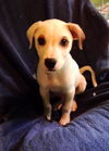 Matty - ADOPTED 08.25.14