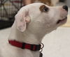 Matty - ADOPTED 08.25.14