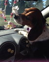 Myra - ADOPTED 08.23.14