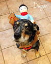 Dugan-ADOPTED-2.21.15