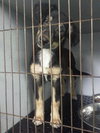 Arriva - ADOPTED 09.13.14