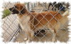 Murtach - ADOPTED 09.28.14