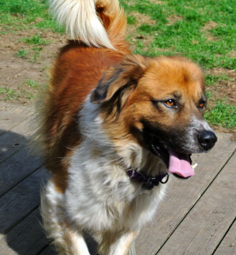 Murtach - ADOPTED 09.28.14