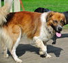 Murtach - ADOPTED 09.28.14
