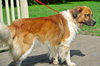 Murtach - ADOPTED 09.28.14