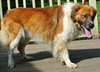 Murtach - ADOPTED 09.28.14