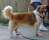 Murtach - ADOPTED 09.28.14
