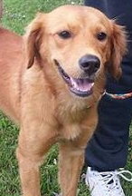 Morag - ADOPTED 09.09.14