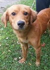 Morag - ADOPTED 09.09.14
